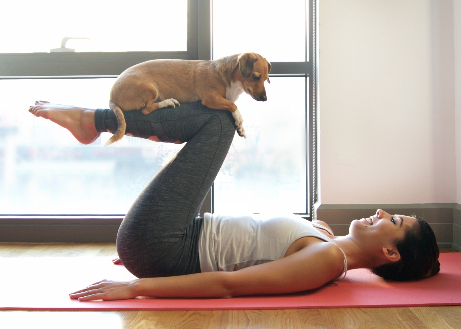 How To Practice Yoga With Your Dog Headstands and Heels