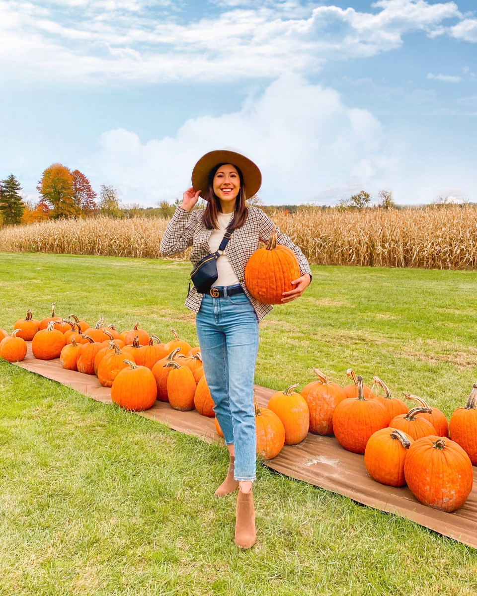 Pumpkin Patch near Stowe, VT
