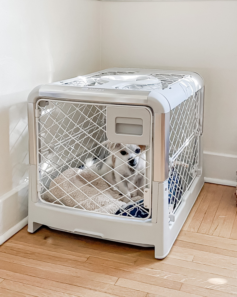 Dog crate
