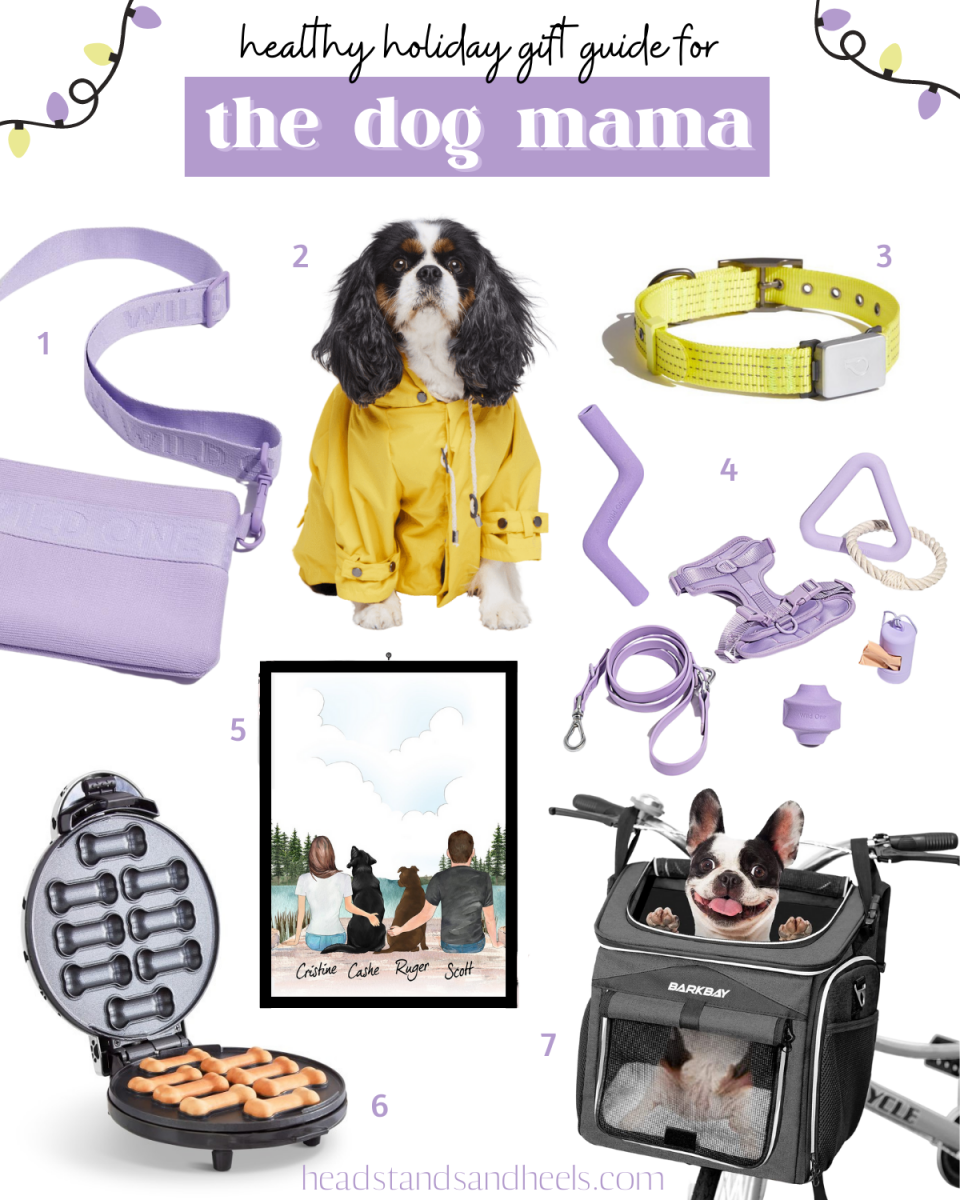 https://d2o7idio78e83s.cloudfront.net/wp-content/uploads/2021/11/10193814/The-Dog-Mama.png